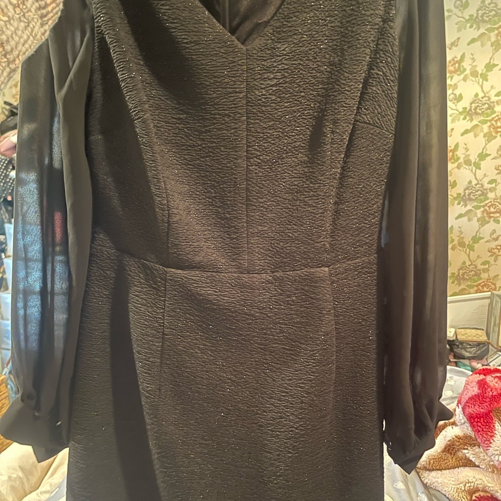 Elegant Black Dress with Sheer Sleeves